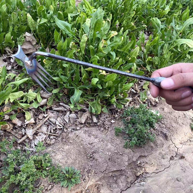 Gartenarbeit Hand Unkrautstecher