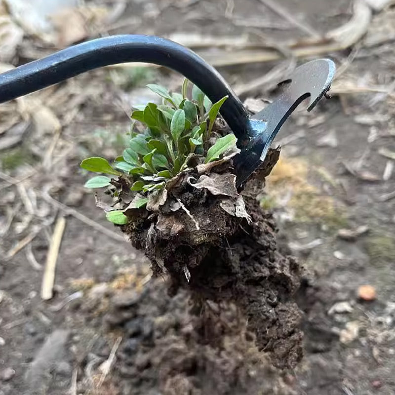 Gartenarbeit Hand Unkrautstecher