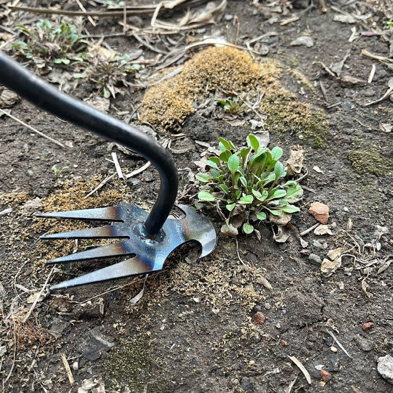 Gartenarbeit Hand Unkrautstecher