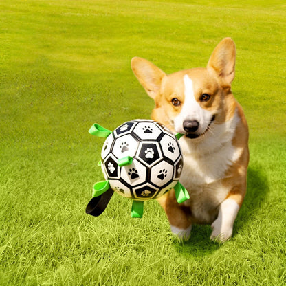 Interaktiver Hundefußball